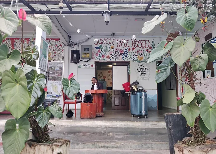 Jungle Ippie Hostel