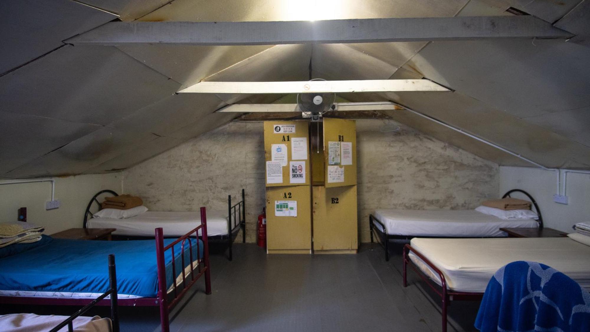 Hostel Jungle Ippie *